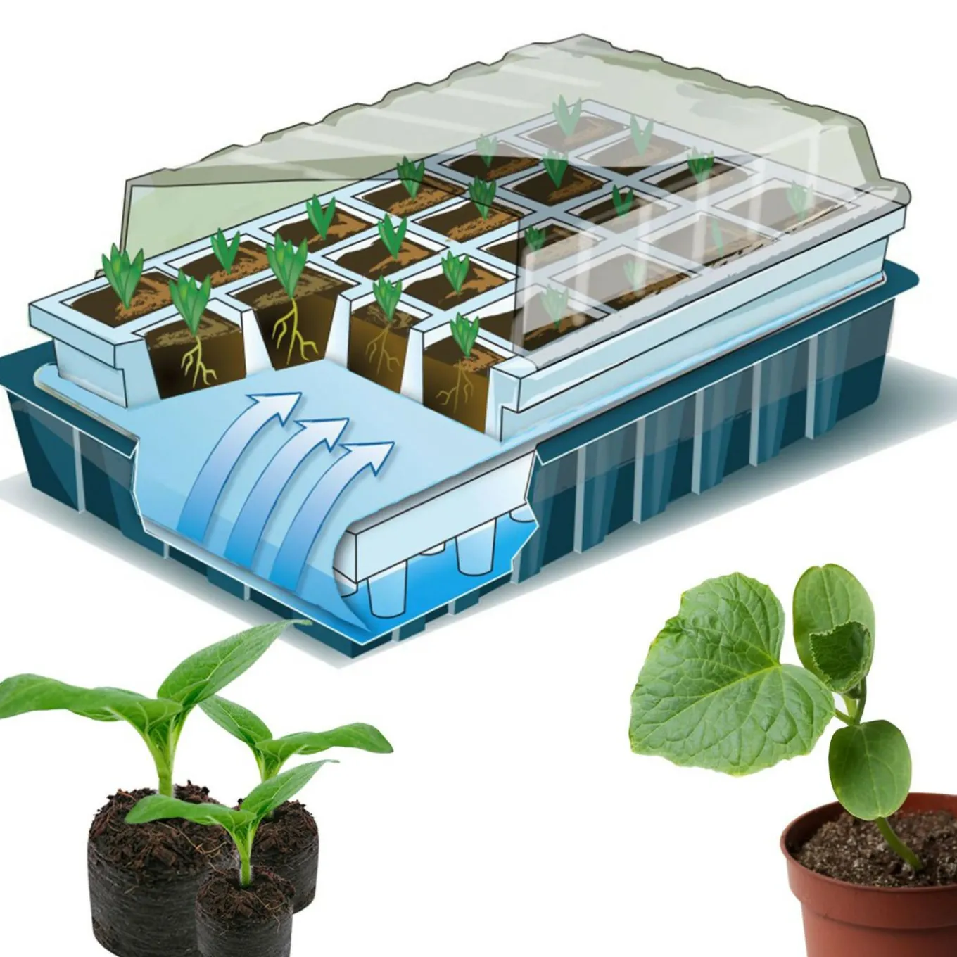 IDMarket 2 Kits de germination pour 80 godets* Serres À Tomates Et Équipement Du Potager