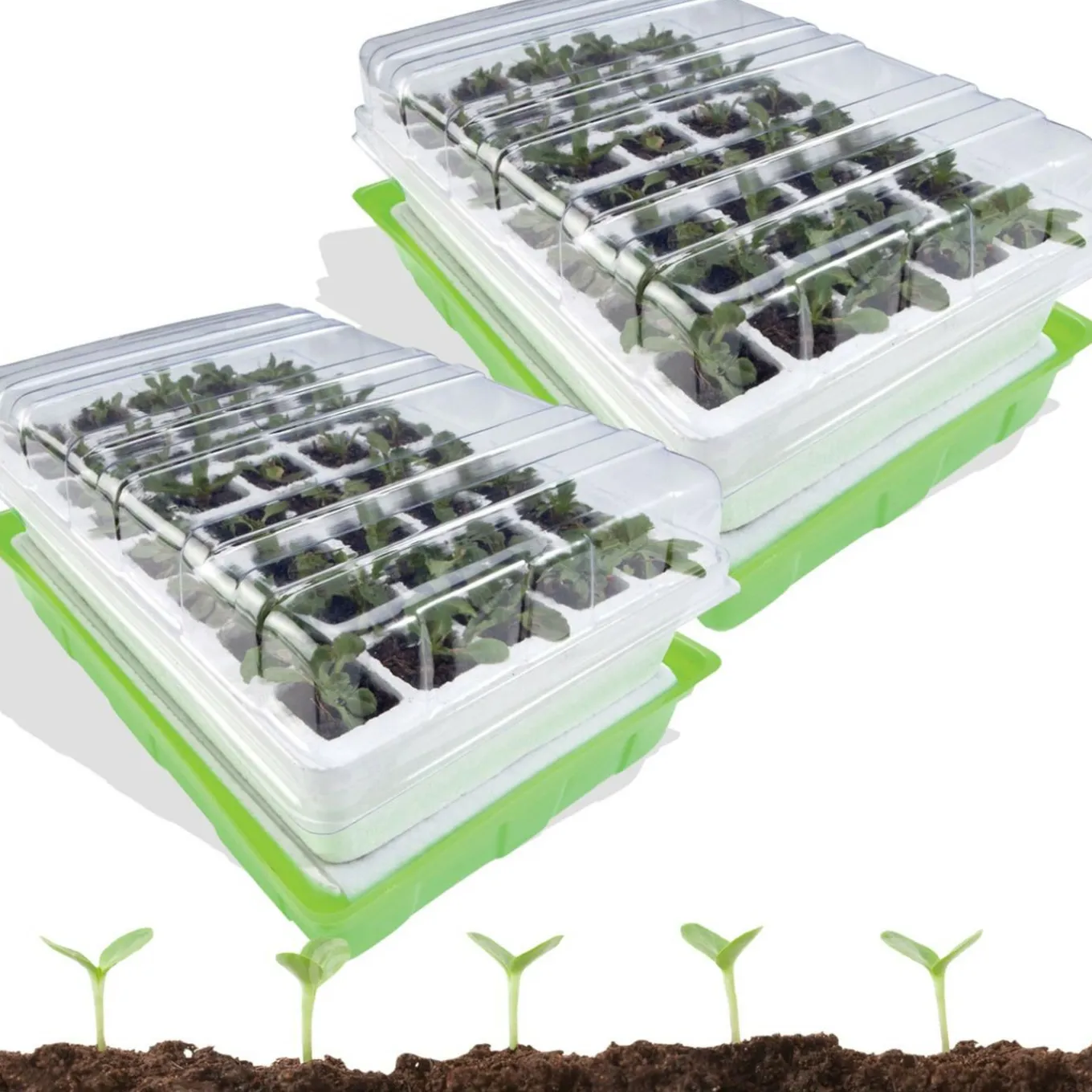 IDMarket 2 Kits de germination pour 80 godets* Serres À Tomates Et Équipement Du Potager