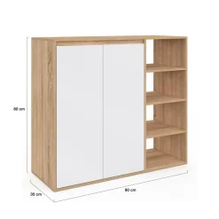 IDMarket Armoire à chaussures 12 paires 2 portes et 4 étagères* Collection Moderne|Petits Meubles