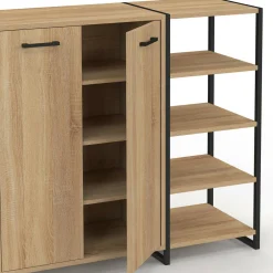 IDMarket Armoire à chaussures design industriel 12 paires 2 portes et 4 étagères* Collection Moderne|Petits Meubles