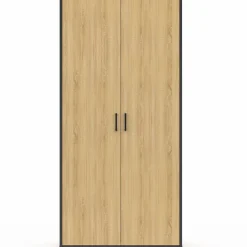 IDMarket Armoire grande capacité avec penderie et étagères* Rangement Et Accessoires|Meubles Hauts