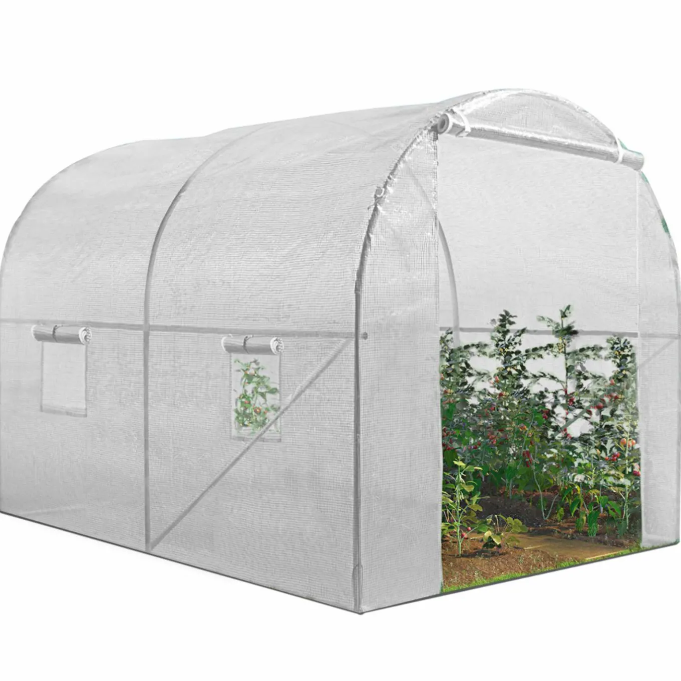 IDMarket Bâche de rechange pour serre tunnel 6 m² blanche ROMA* Bâches Pour Serres Et Accessoires