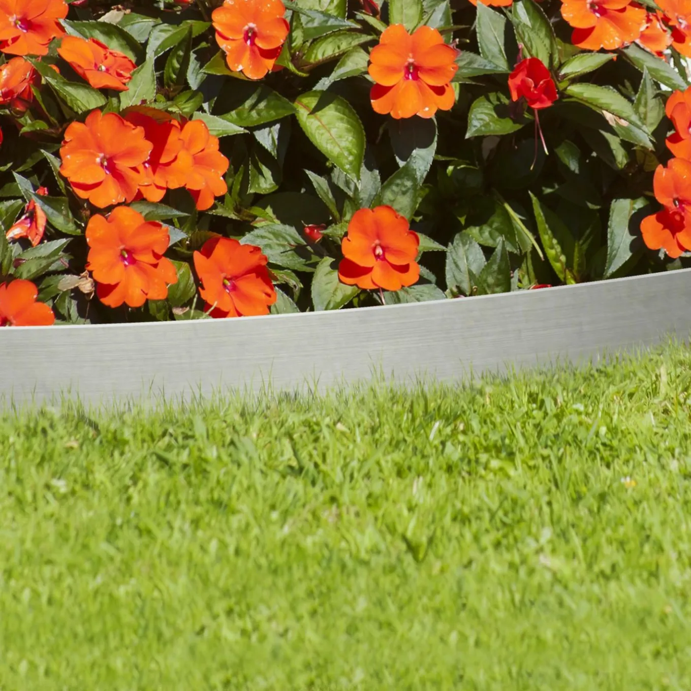 IDMarket Bordurette de jardin en acier 5 m* Bordures De Jardin