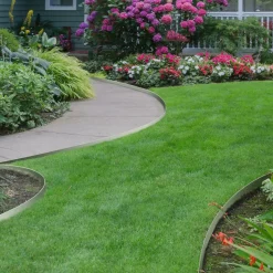 IDMarket Bordurette de jardin en acier 5 m* Bordures De Jardin