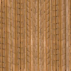 IDMarket Brise-vue occultant imprimé bambou 1,8 x 10 M 160 gr /m²* Brise-Vues