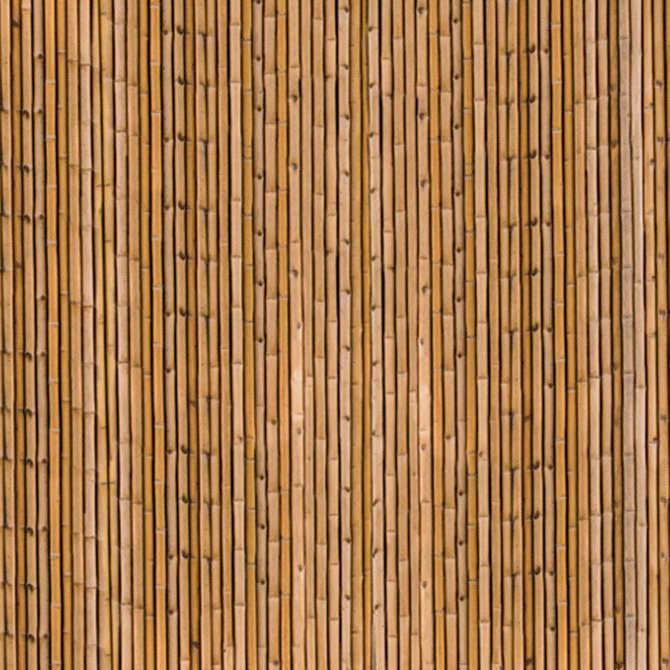 IDMarket Brise-vue occultant imprimé bambou 1,8 x 10 M 160 gr /m²* Brise-Vues