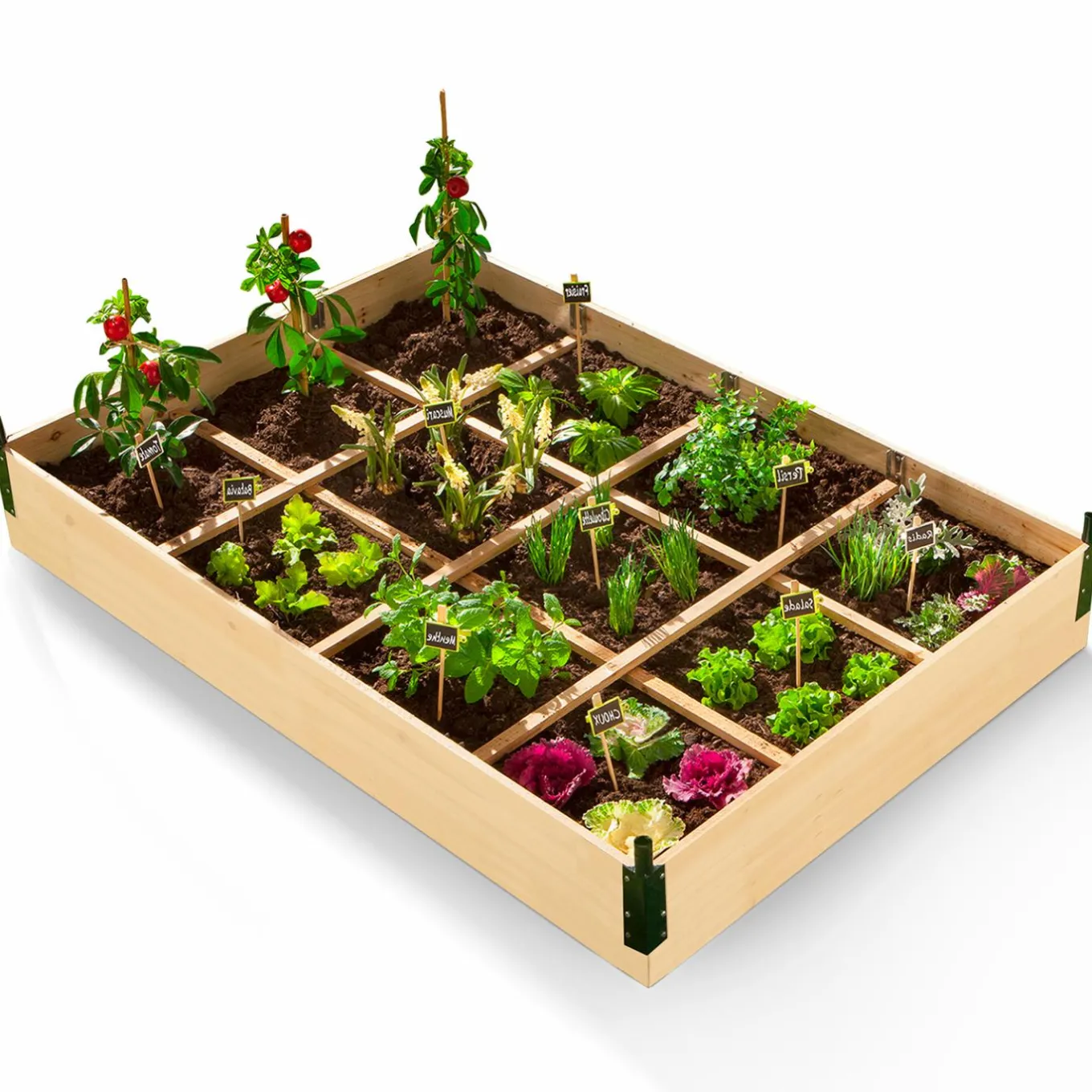 IDMarket Carré potager avec serre* Carrés Potager