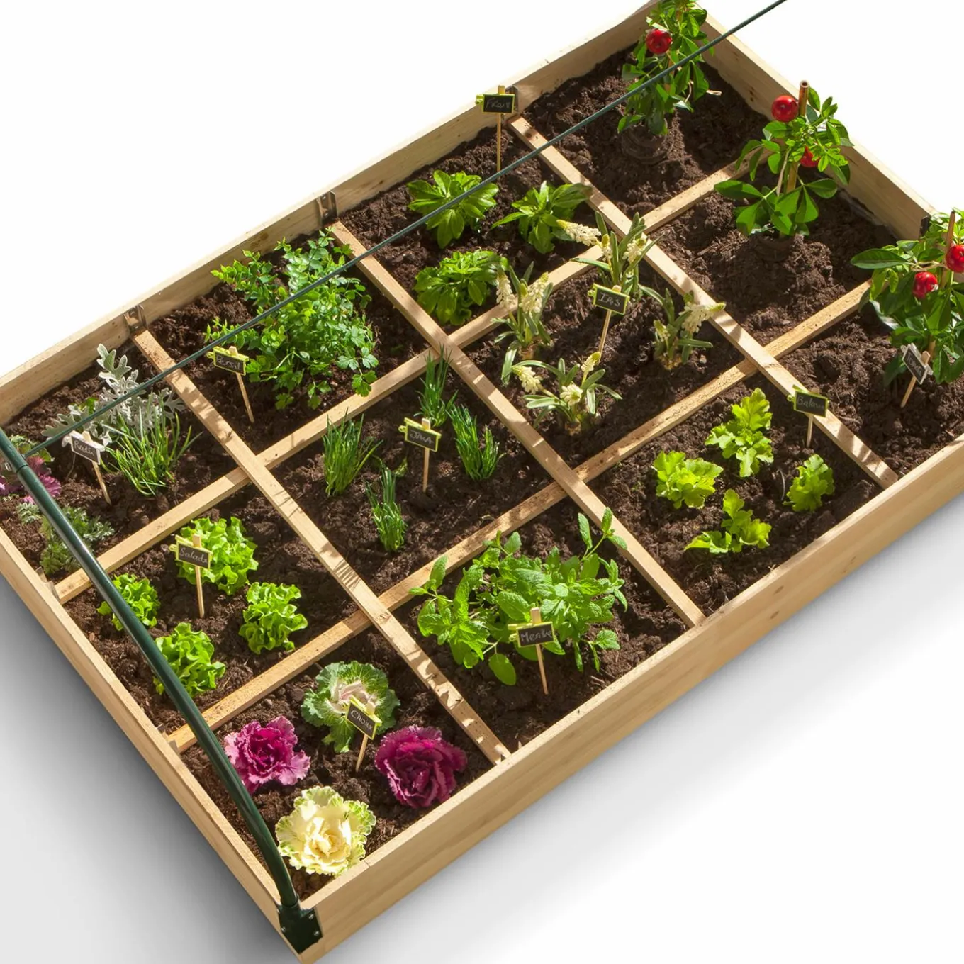 IDMarket Carré potager avec serre* Carrés Potager