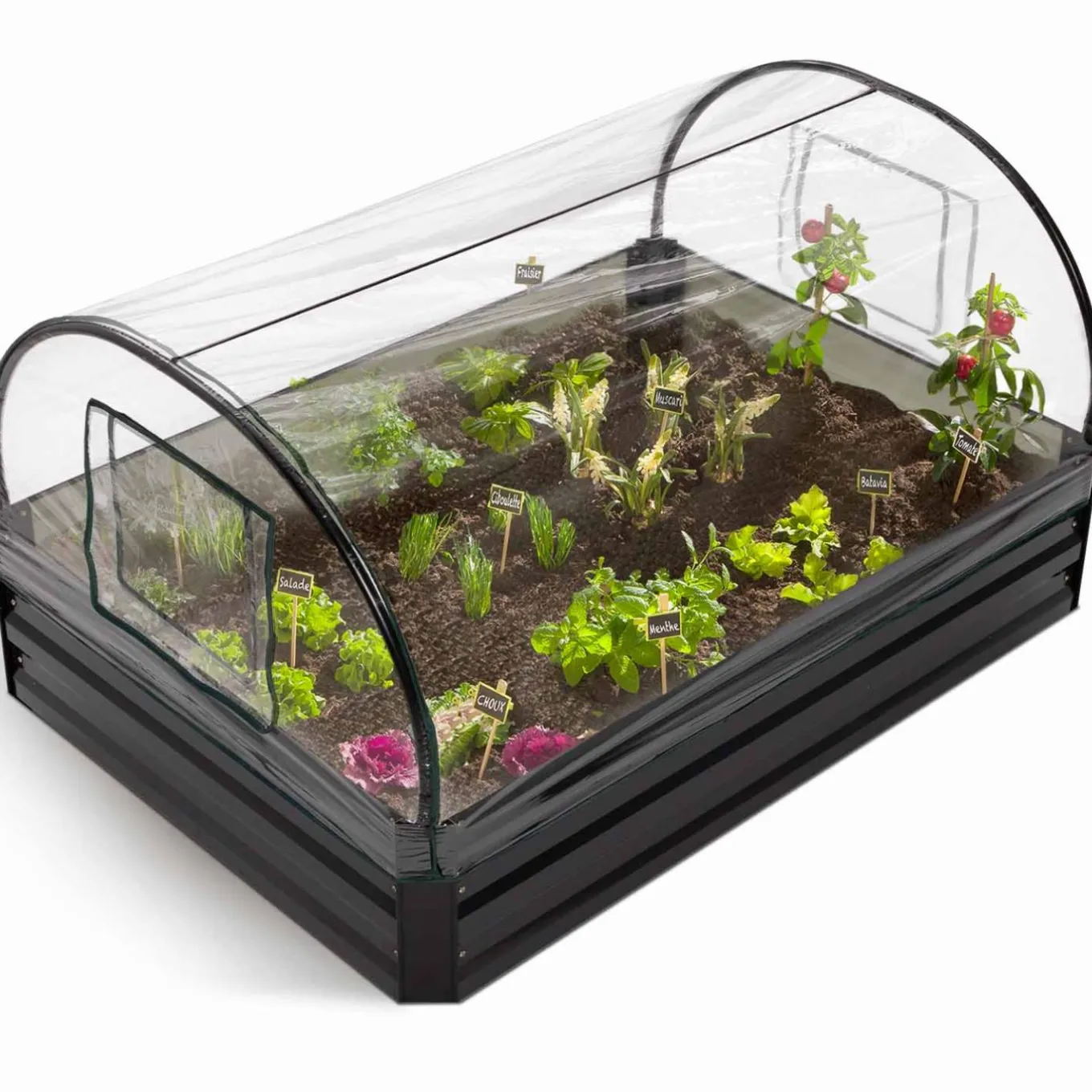 IDMarket Carré potager en métal avec serre à tomates + treillis + housse* Carrés Potager