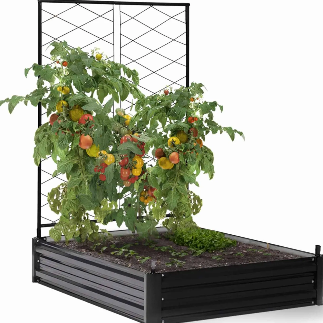 IDMarket Carré potager en métal avec serre à tomates + treillis + housse* Carrés Potager