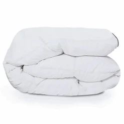 IDMarket Couette plume d'oie 220x240 cm* Couettes Et Oreillers|Chambre Complète Adulte