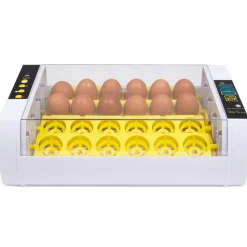IDMarket Couveuse incubateur 24 œufs* Accessoires Animaux|Accessoires Poulailler