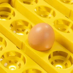 IDMarket Couveuse professionnelle automatique 56 œufs avec incubateur* Accessoires Animaux|Accessoires Poulailler