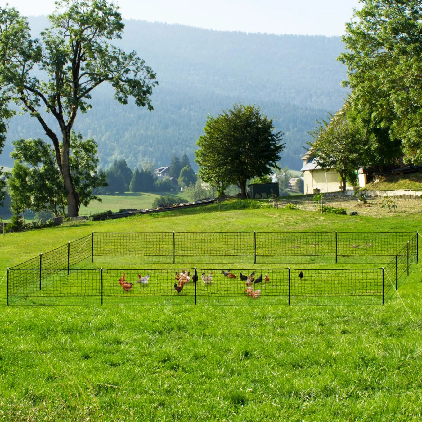 IDMarket Filet à poules de 50m avec porte* Accessoires Poulailler|Volières Et Enclos