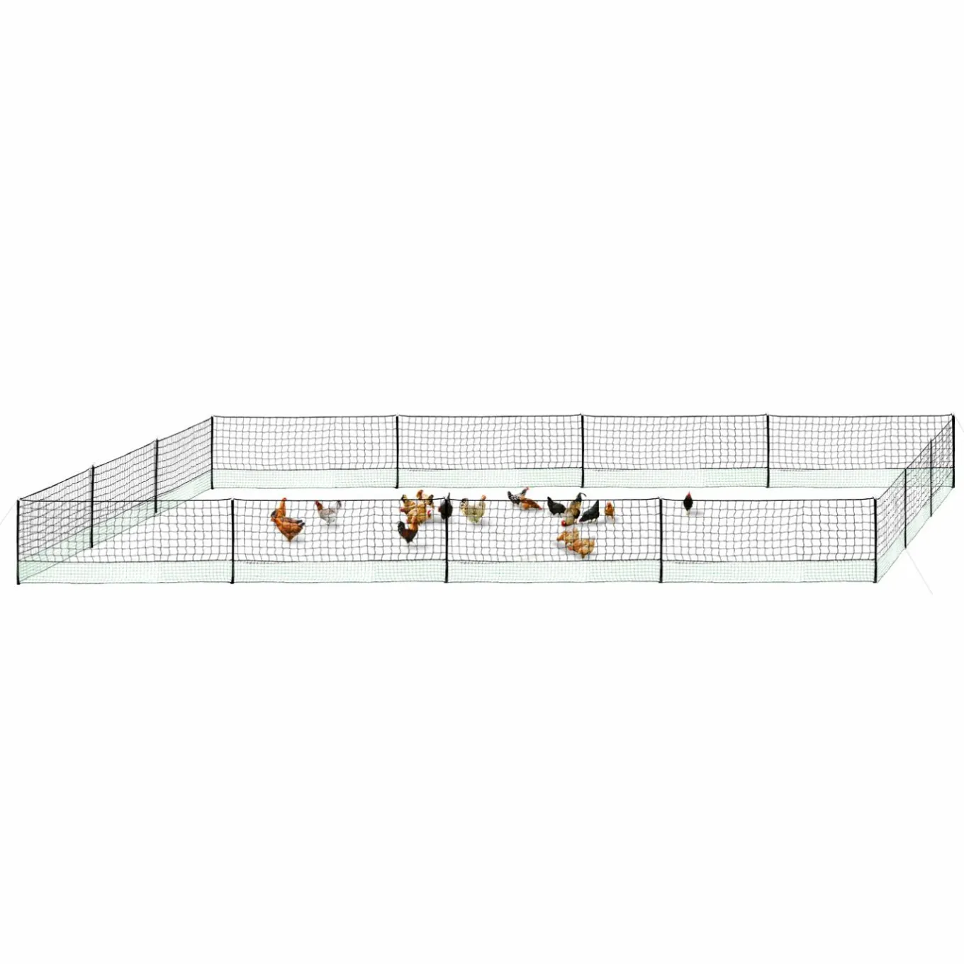 IDMarket Filet à poules de 50m avec porte* Accessoires Poulailler|Volières Et Enclos