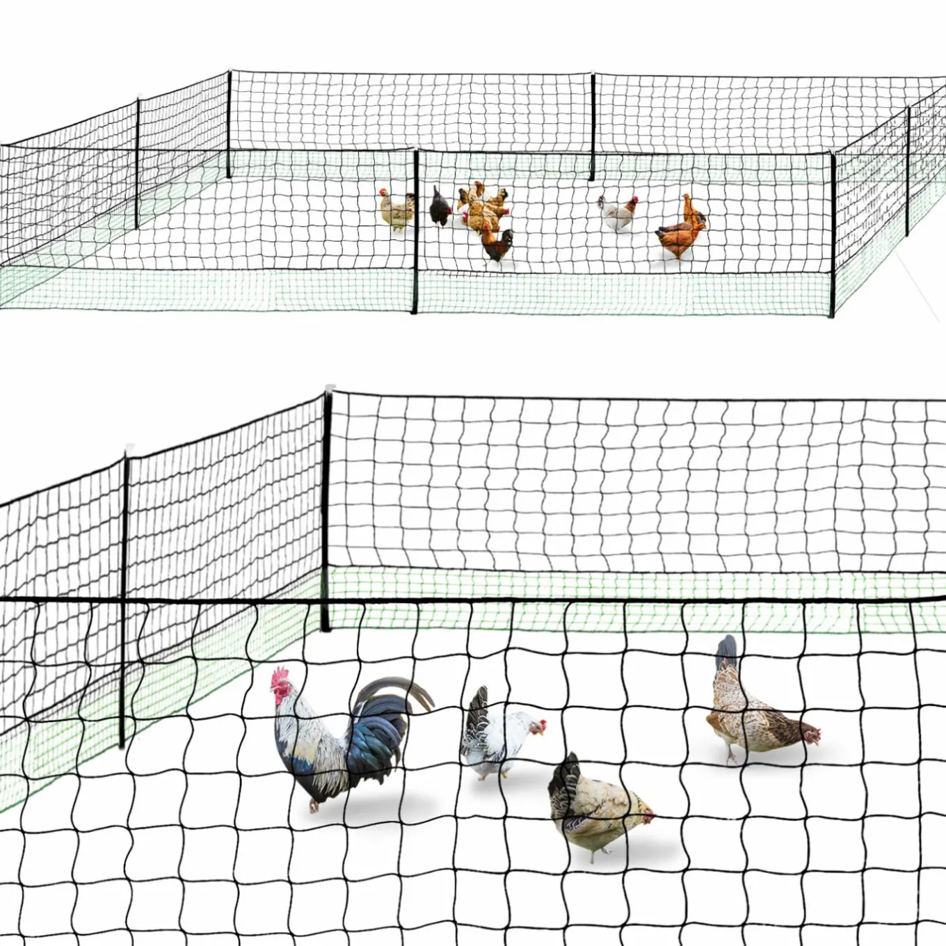 IDMarket Filet de clôture pour poulailler 24 mètres* Accessoires Poulailler|Volières Et Enclos