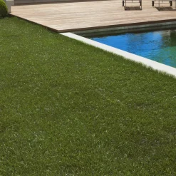 IDMarket Gazon synthétique 40 mm d'épaisseur 1x10 M pour jardin / balcon* Entretien Du Jardin Et Accessoires|Revêtement Sol Extérieur