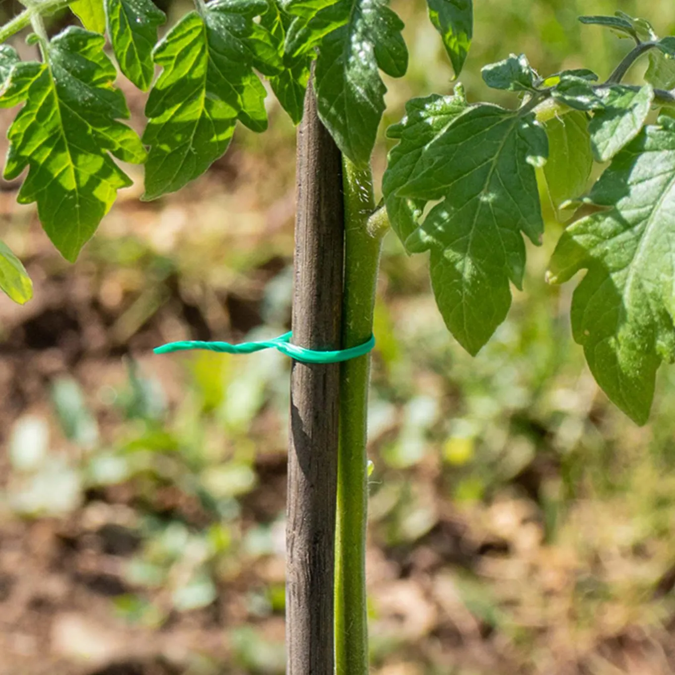 IDMarket Lien pour fixer brise-vues : 30 M* Brise-Vues