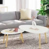 IDMarket Lot de 2 tables gigognes scandinaves laquées blanc* Collection Scandinave|Salon Complet