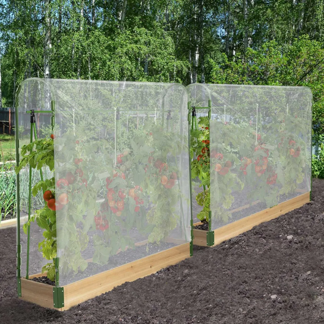 IDMarket Lot de 2 tunnels à tomates 1,20 m* Serres À Tomates Et Équipement Du Potager|Serres