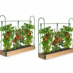 IDMarket Lot de 2 tunnels à tomates 1,20 m* Serres À Tomates Et Équipement Du Potager|Serres