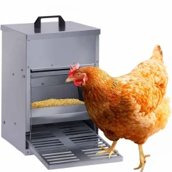 IDMarket Mangeoire à poule anti-nuisible* Accessoires Animaux|Accessoires Poulailler