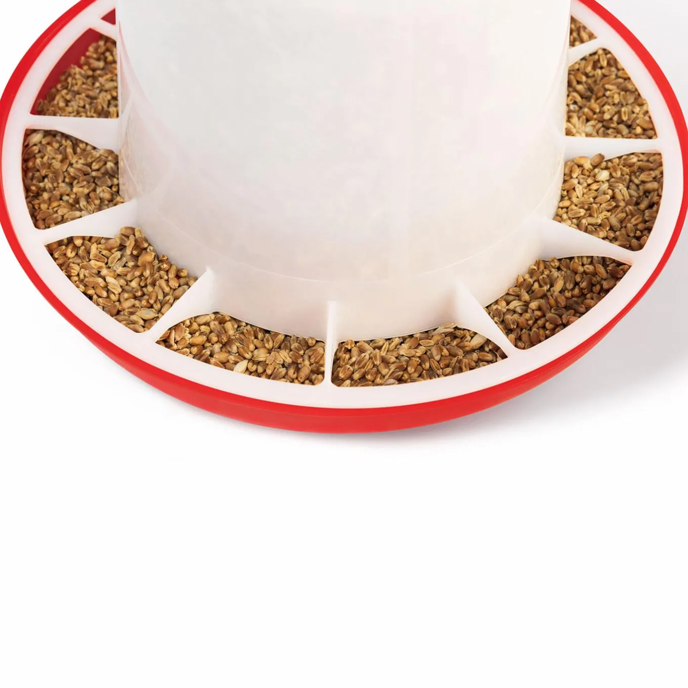 IDMarket Mangeoire et abreuvoir pour poules* Accessoires Animaux|Accessoires Poulailler