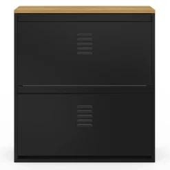 IDMarket Meuble à chaussures 12 paires 2 portes métal noir design industriel* Rangement Et Accessoires|Collection Métal