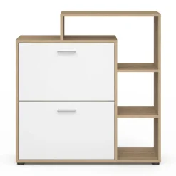 IDMarket Meuble à chaussures 2 portes avec étagère* Petits Meubles|Meubles À Chaussures