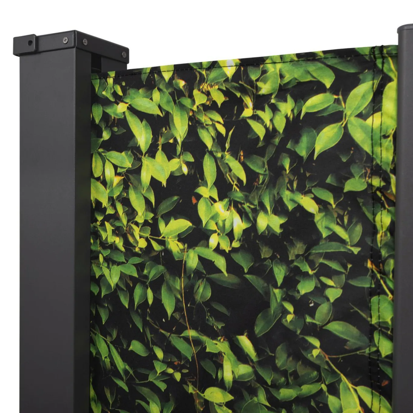 IDMarket Paravent extérieur rétractable 400x180 cm store latéral motif feuillage* Paravents Extérieurs