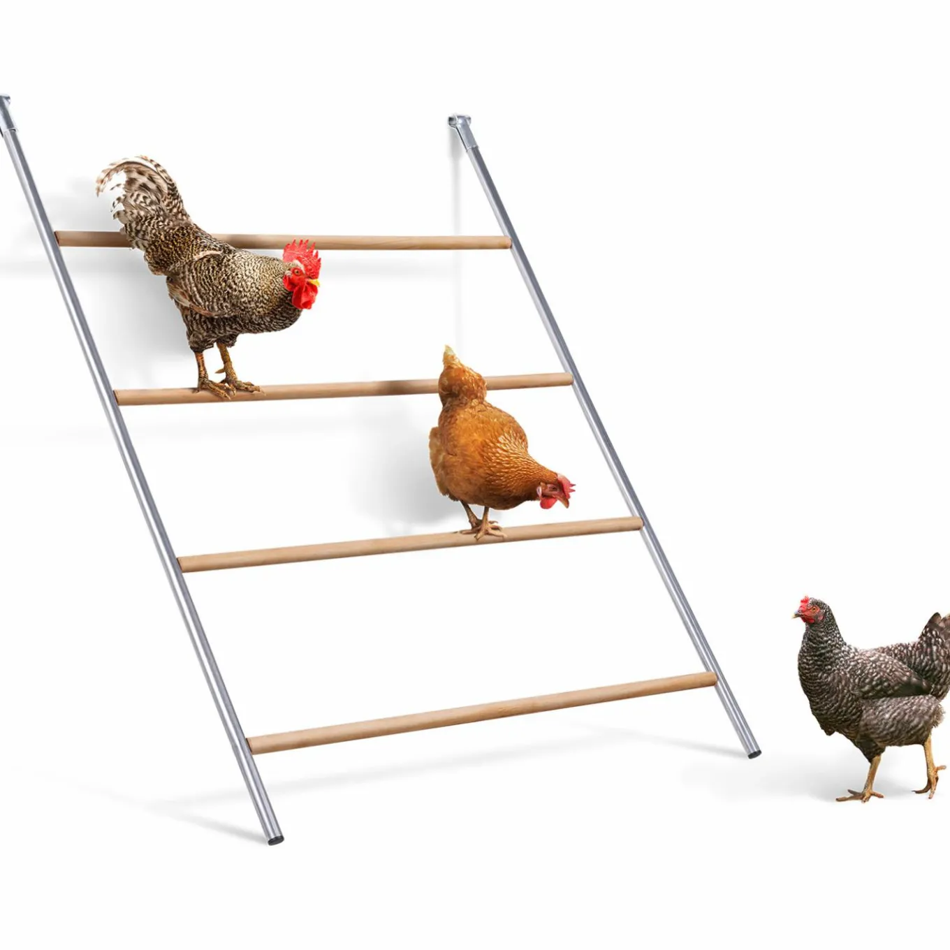 IDMarket Perchoir poule 4 niveaux en bois* Accessoires Poulailler|Volières Et Enclos