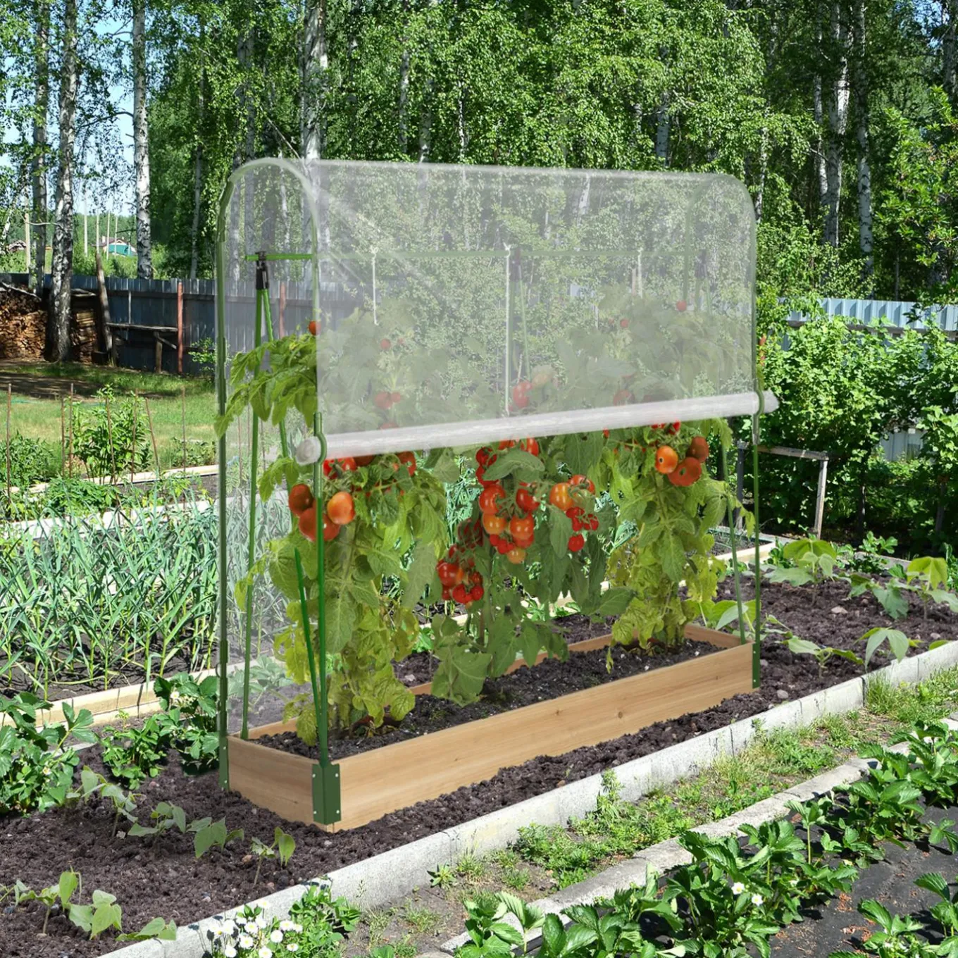 IDMarket Serre à tomates 1,20 m* Serres À Tomates Et Équipement Du Potager|Serres