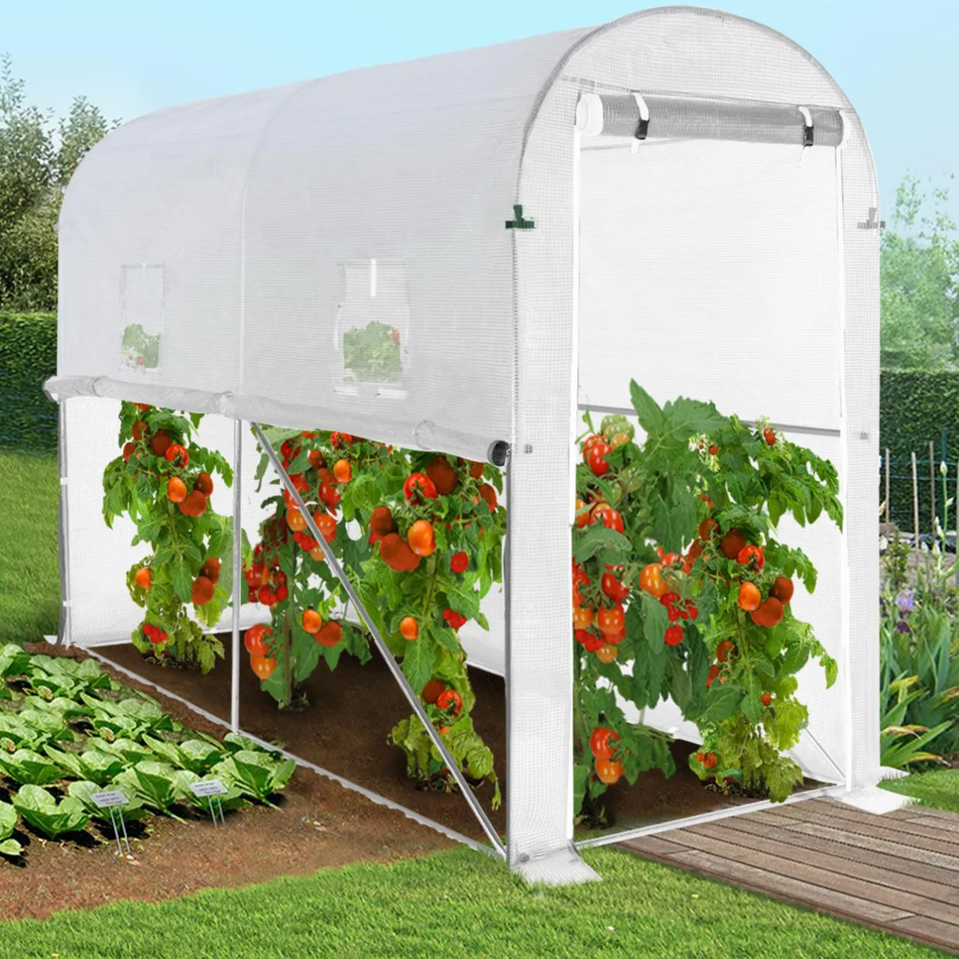 IDMarket Serre à tomates 3 m² 3 x 1 x 2 m blanche* Serres À Tomates Et Équipement Du Potager|Serres