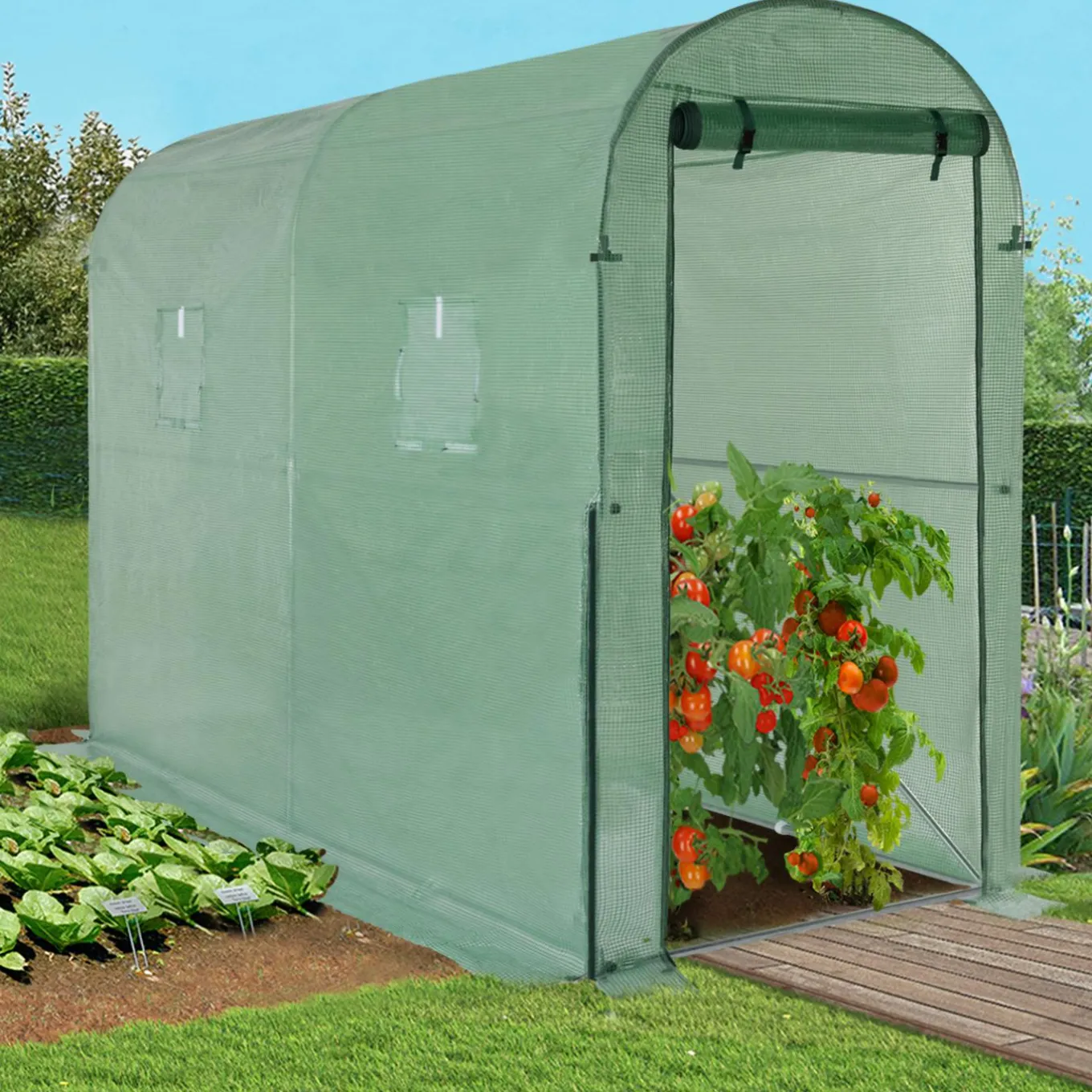 IDMarket Serre à tomates 3 m² 3x1x2m* Serres À Tomates Et Équipement Du Potager|Serres