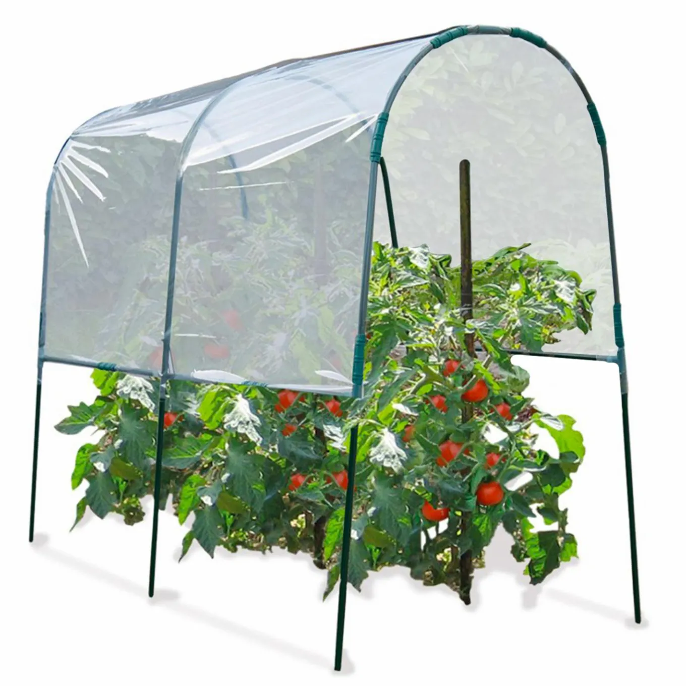 IDMarket Serre à tomates de 2m de longueur* Serres À Tomates Et Équipement Du Potager|Serres