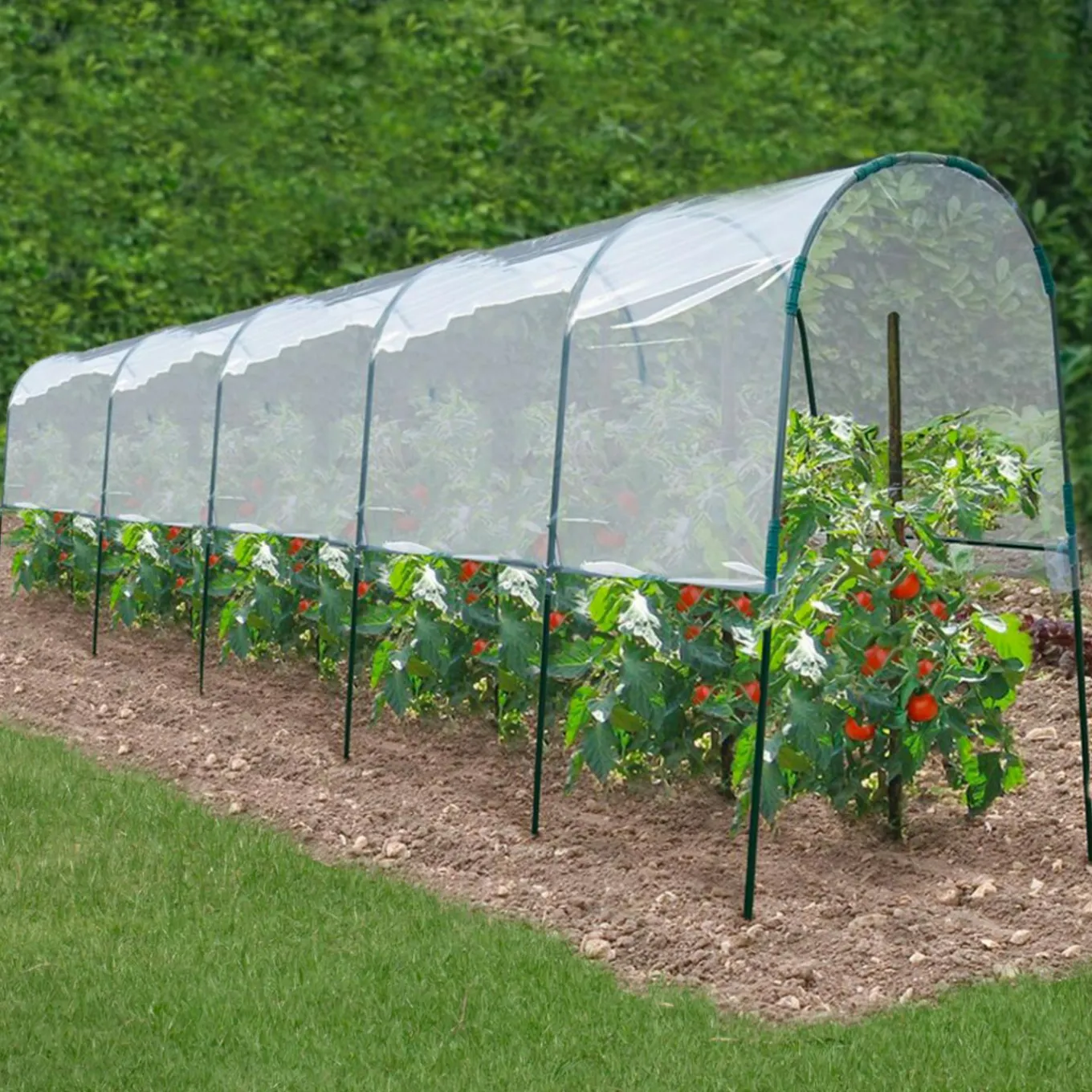 IDMarket Serre à tomates de 2m de longueur* Serres À Tomates Et Équipement Du Potager|Serres