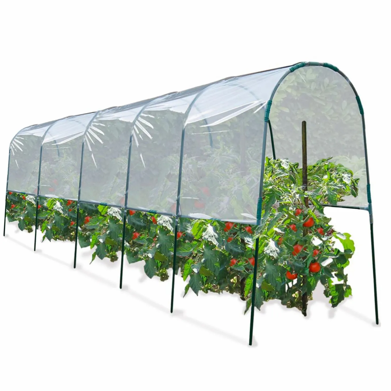 IDMarket Serre à tomates tunnel 6 m* Serres|Serres À Tomates Et Équipement Du Potager