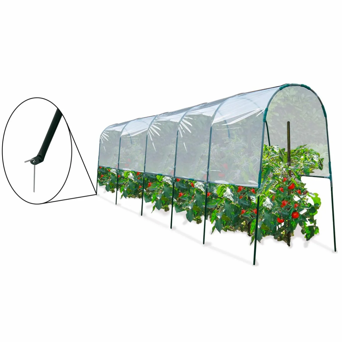 IDMarket Serre à tomates tunnel 6 m* Serres|Serres À Tomates Et Équipement Du Potager