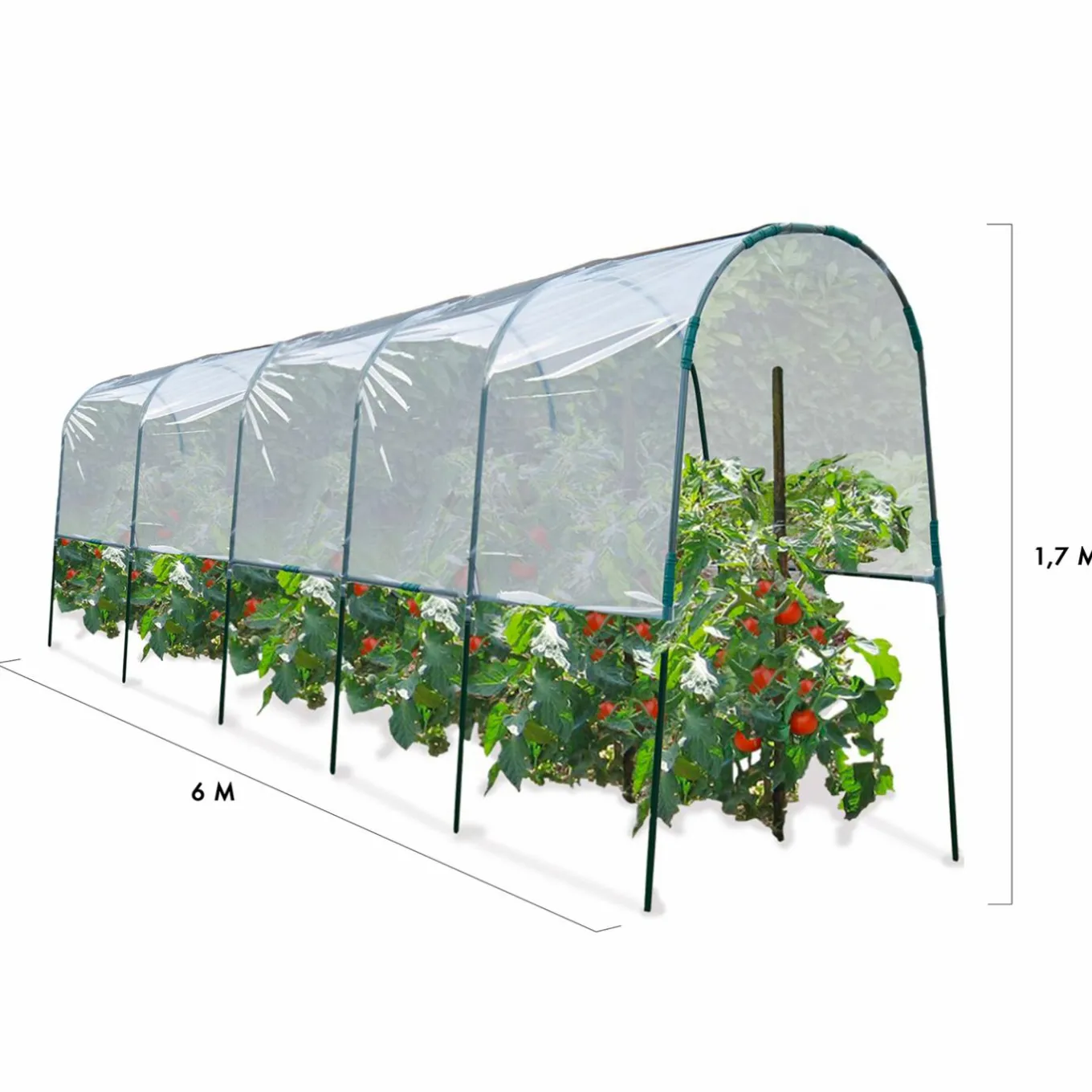IDMarket Serre à tomates tunnel 6 m* Serres|Serres À Tomates Et Équipement Du Potager