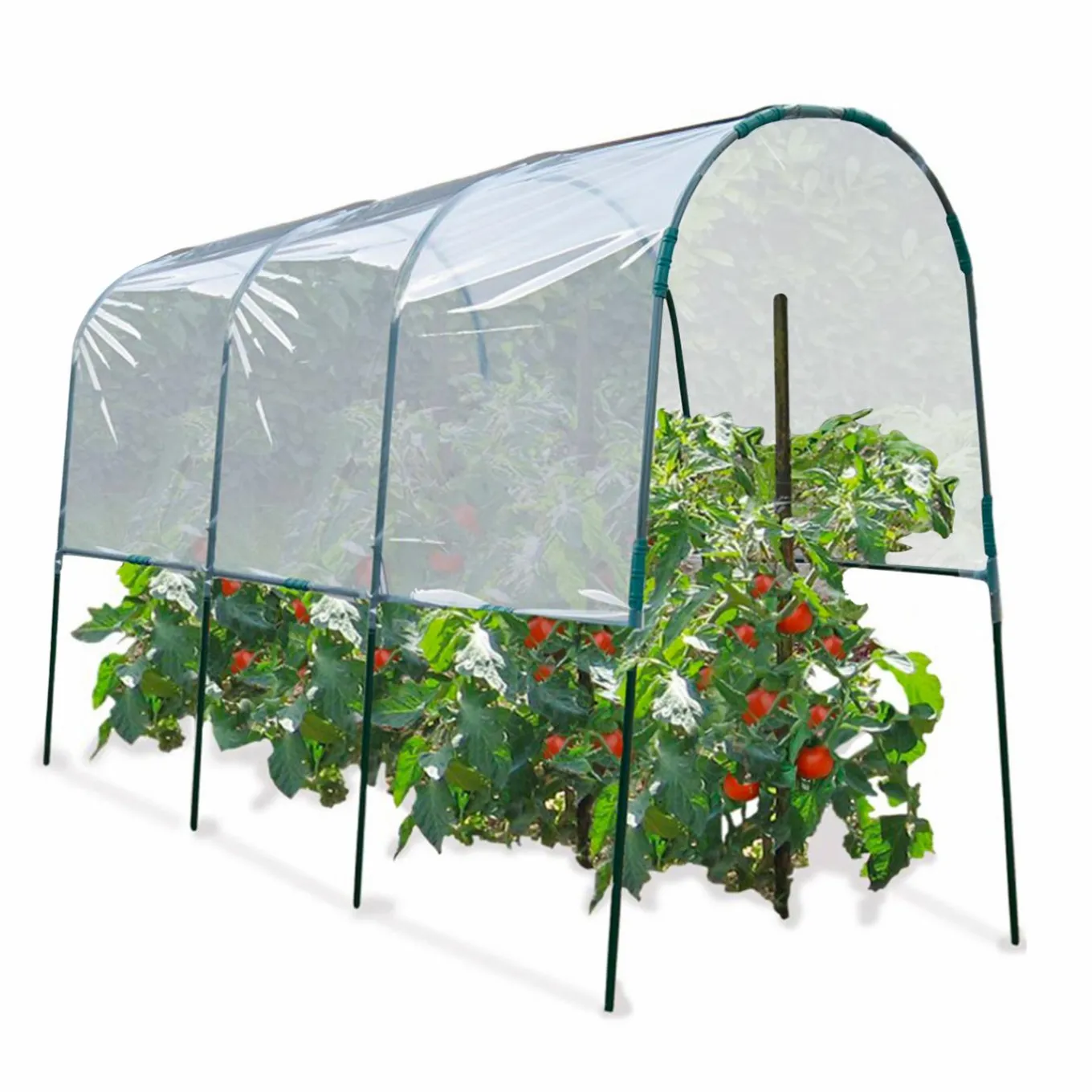 IDMarket Serre à tomates tunnel 4 m* Serres À Tomates Et Équipement Du Potager|Serres