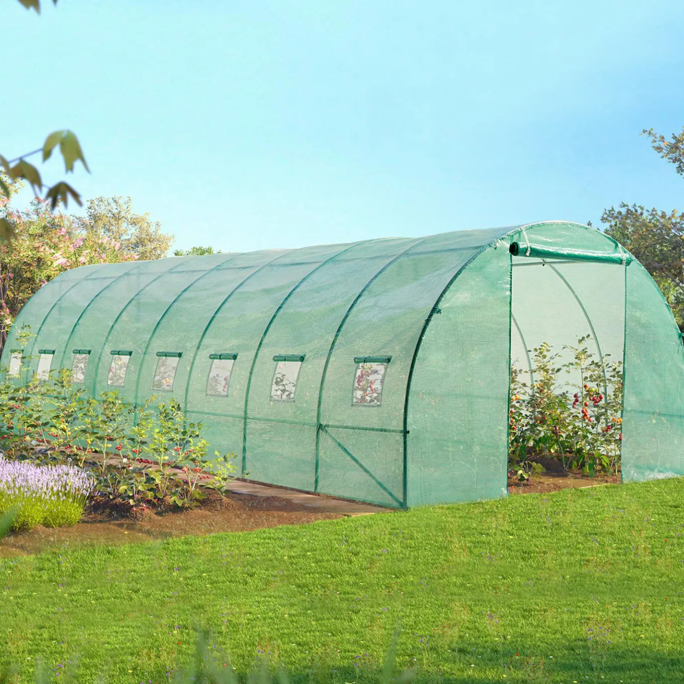IDMarket Serre de jardin 24 m² tunnel 8x3 m* Serres Tunnel|Serres