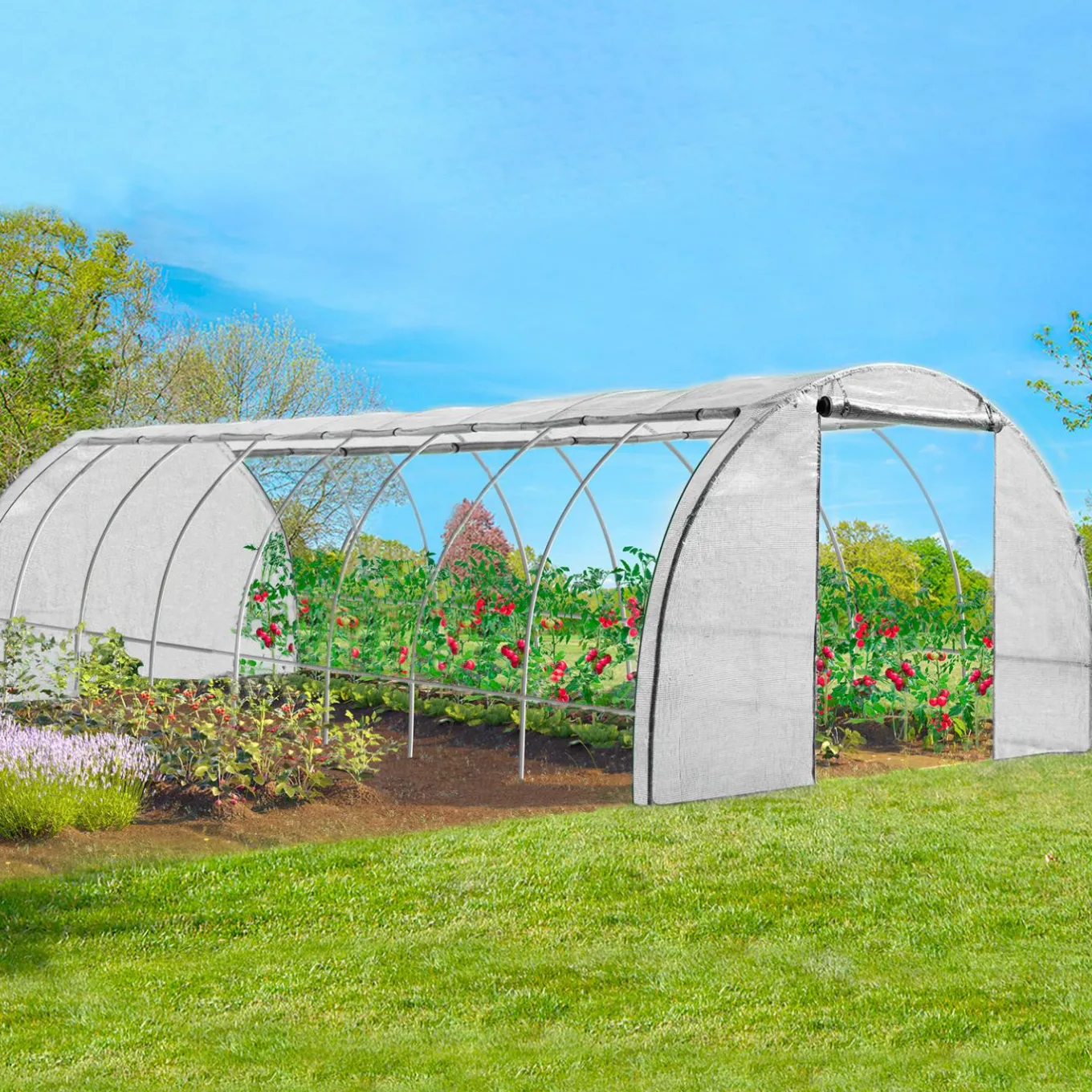 IDMarket Serre de jardin blanche 24m² 8x3 M* Serres Tunnel|Serres