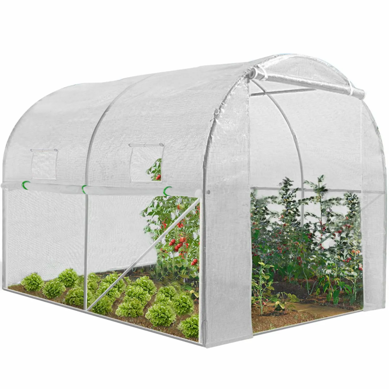 IDMarket Serre de jardin tunnel blanche 6m2* Serres Tunnel|Serres