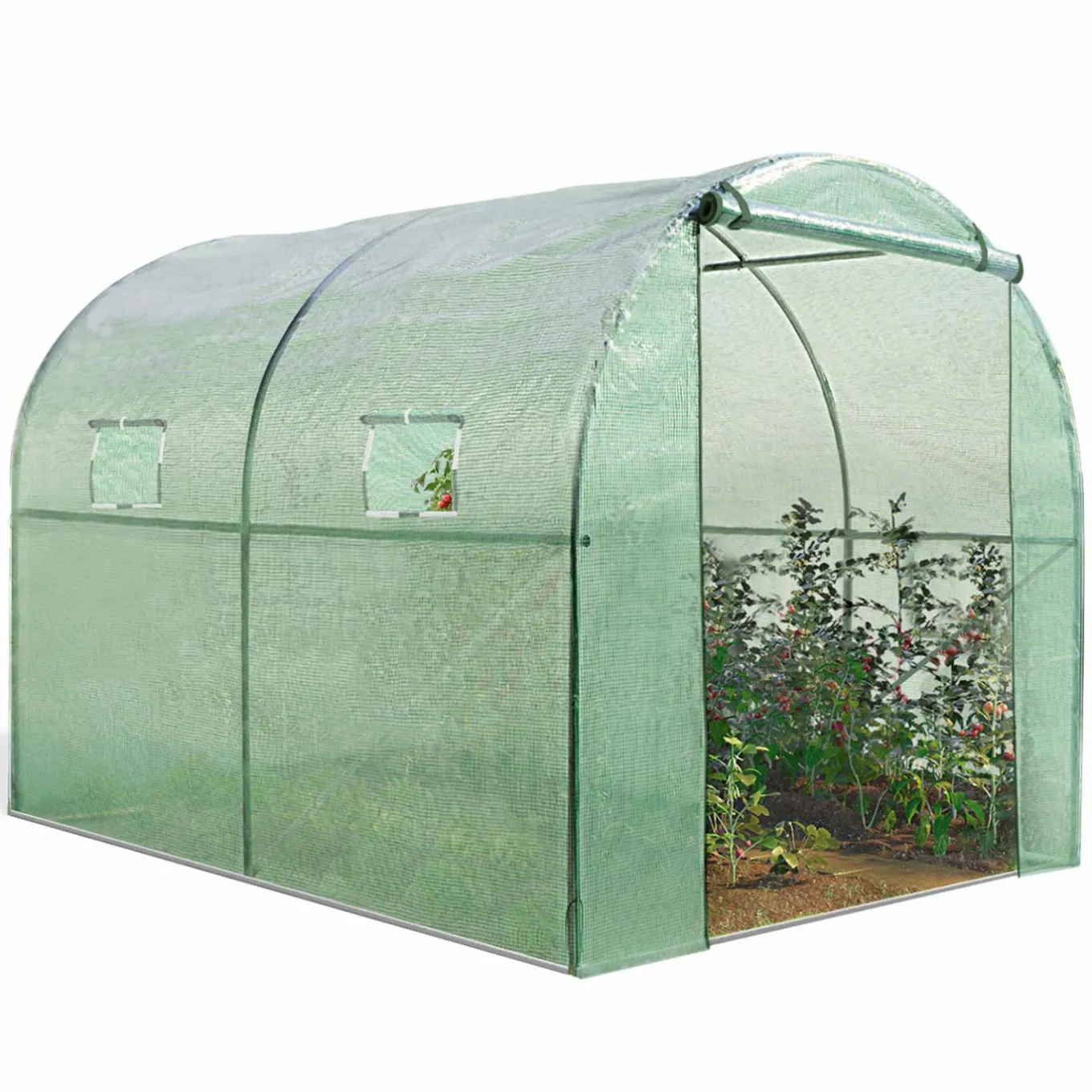 IDMarket Serre de jardin verte 6m² avec 2 fenêtres* Serres Tunnel|Serres