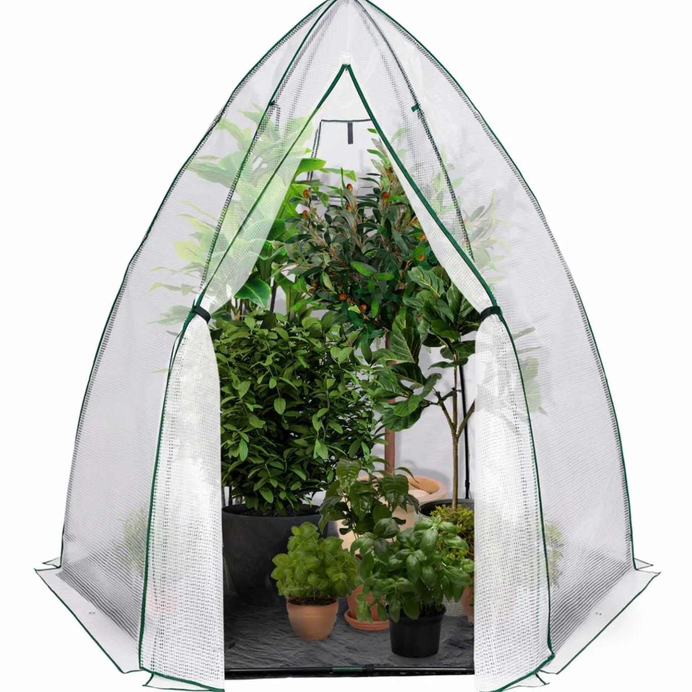 IDMarket Serre hivernage grand format pour plantes* Protection Du Jardin|Serres