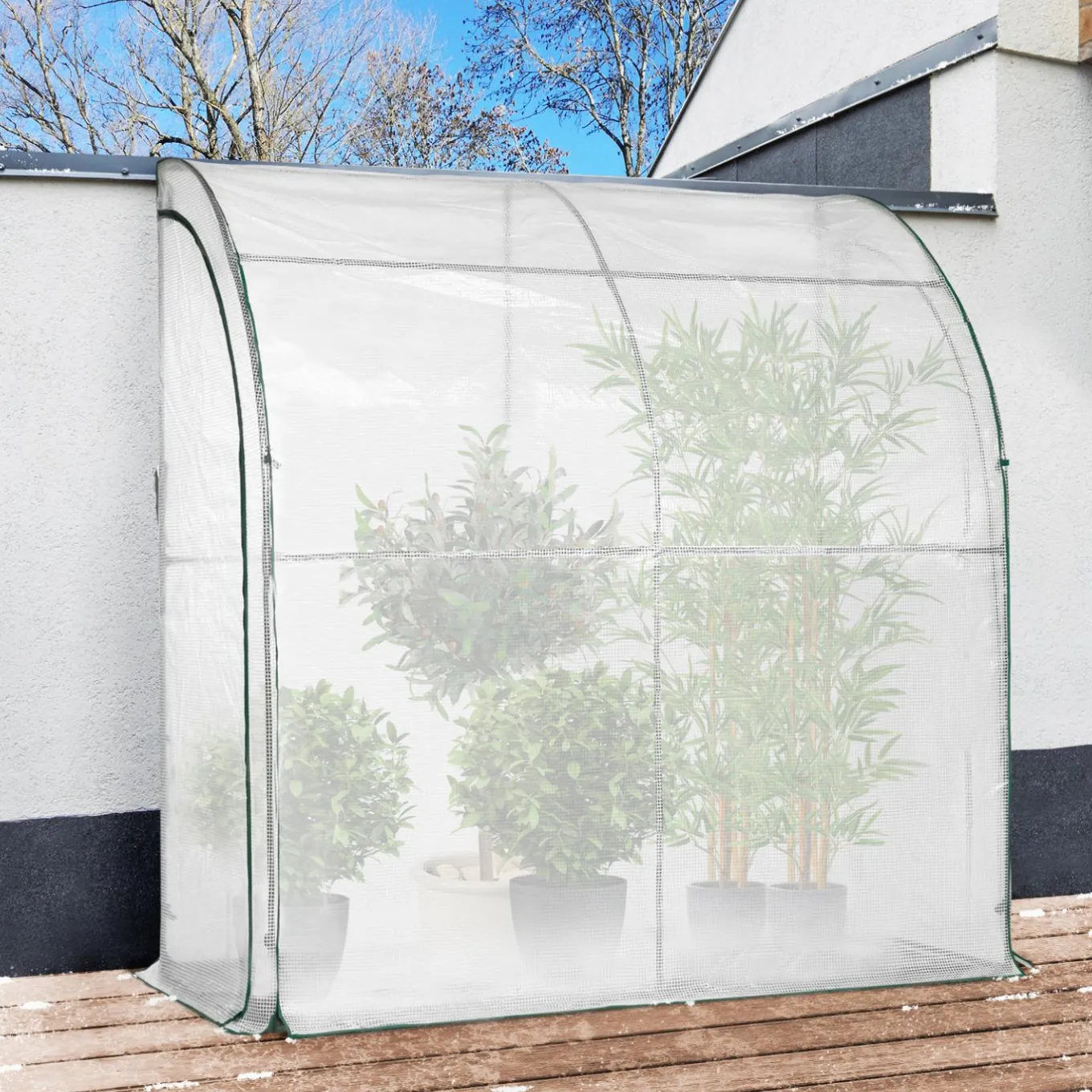 IDMarket Serre murale d’hivernage 80x200 cm* Protection Du Jardin|Serres