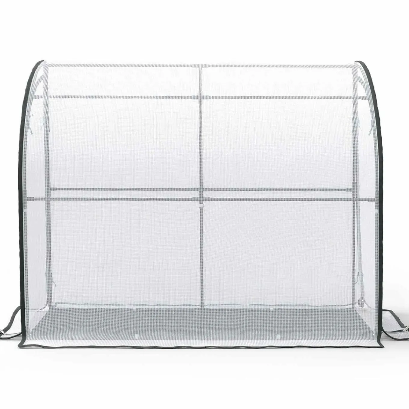 IDMarket Serre murale d’hivernage 80x200 cm* Protection Du Jardin|Serres