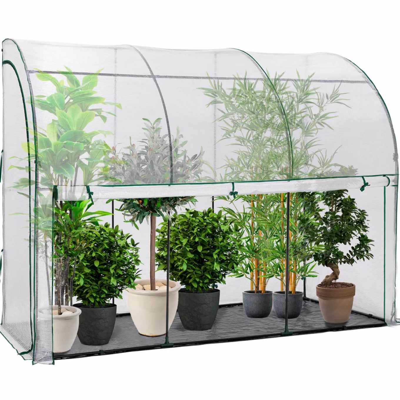 IDMarket Serre murale pour hivernage des plantes* Protection Du Jardin|Serres