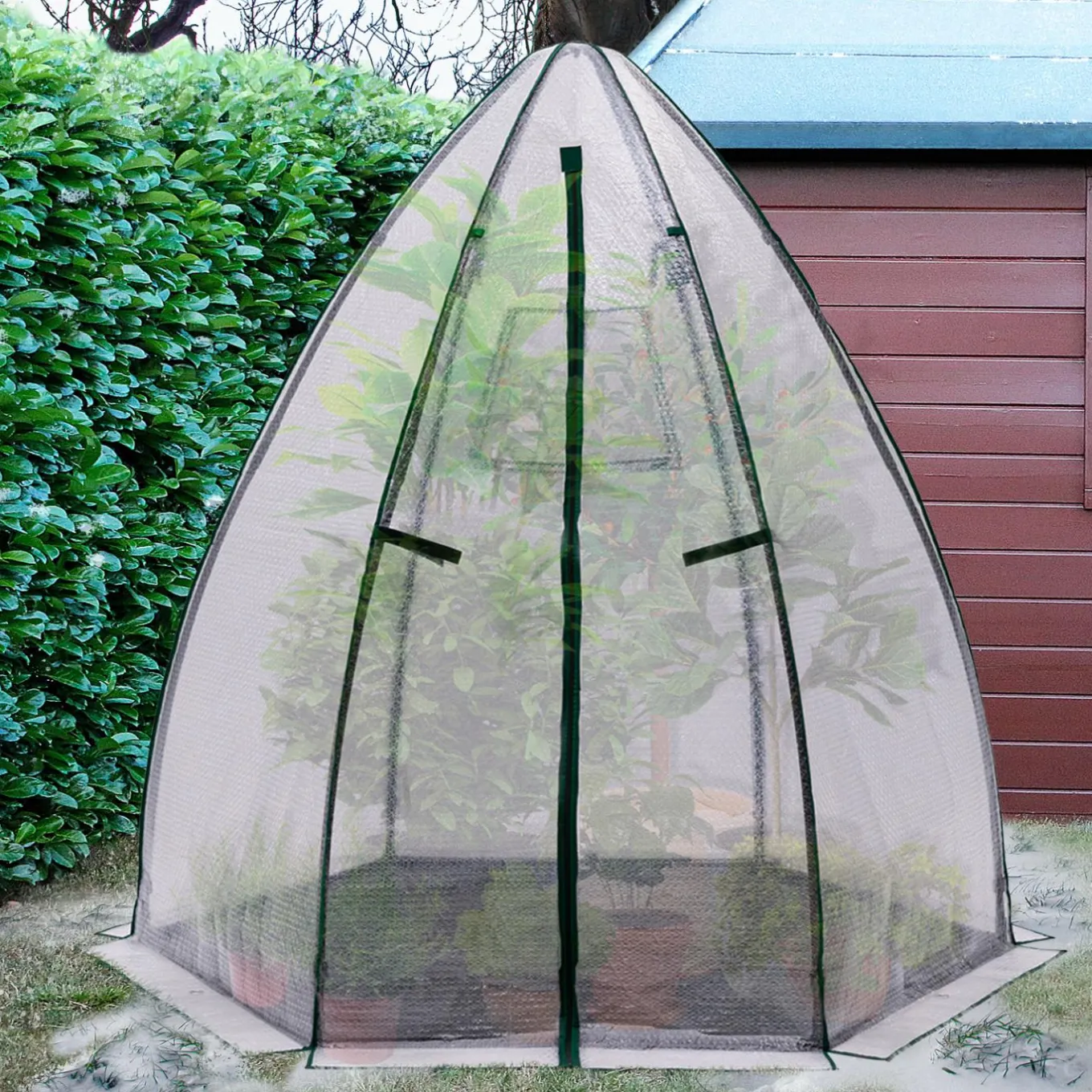IDMarket Serre pour hivernage des plantes bâche bulle* Protection Du Jardin|Serres
