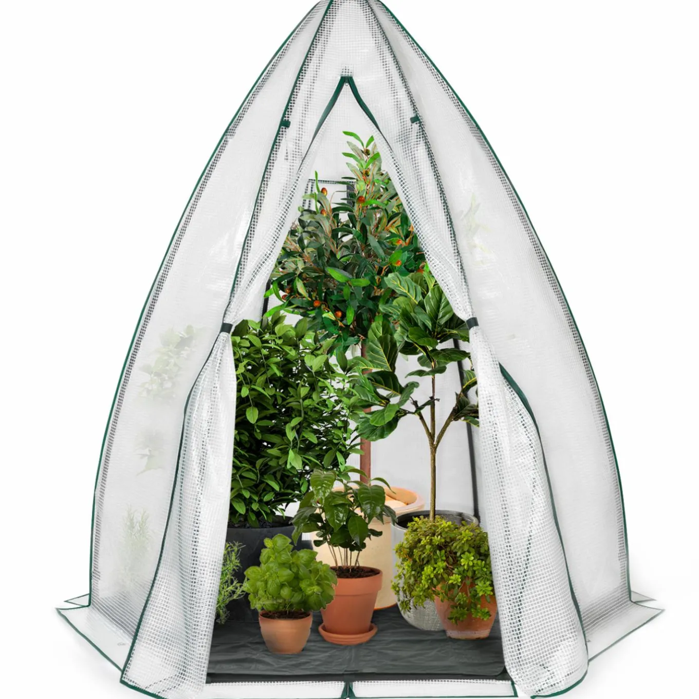 IDMarket Serre pour hivernage des plantes* Protection Du Jardin|Serres
